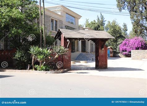 Addis Ababa University, Main Campus Editorial Stock Image - Image of agaveornamental, selassie ...