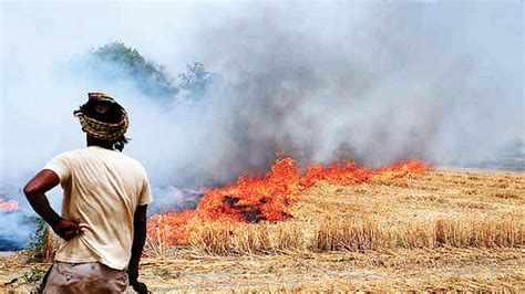 Javadekar holds meeting with states on stubble burning, air pollution in north India