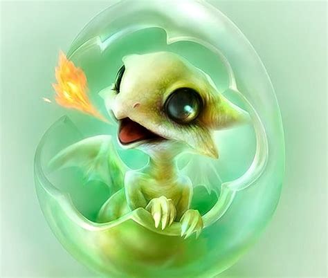 free download | Baby Fire Dragon, Baby, cute, Dragon, Fantasy, HD ...