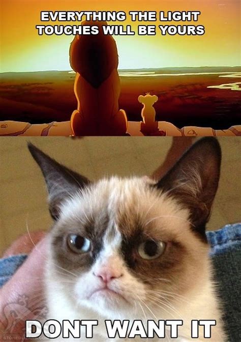 Grumpy Cat Quotes | Funny Collection World