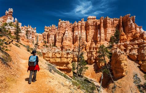 Zion or Bryce Canyon? How to choose between Utah's top national parks - Lonely Planet