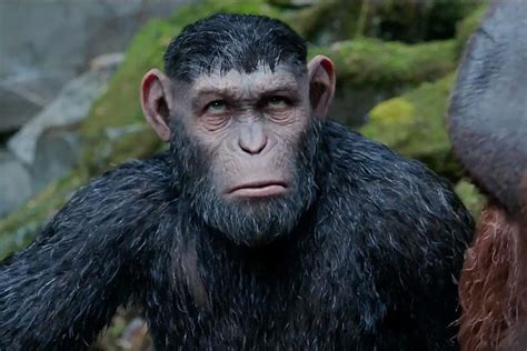 Caesar Planet Of The Apes Wallpaper We ve gathered more than 3 million ...