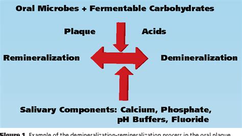 [PDF] The effect of saliva on dental caries. | Semantic Scholar