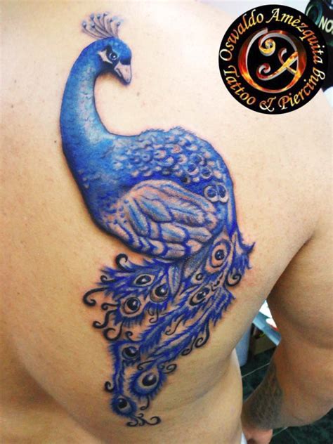 Pavo Real - Tattoo Colour | Pavo real, Pavo