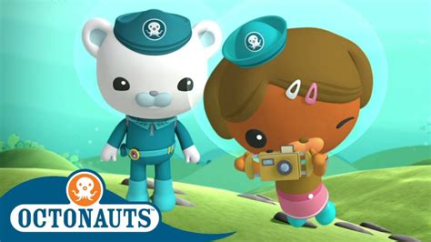 Octonauts Dashi And Her Sister