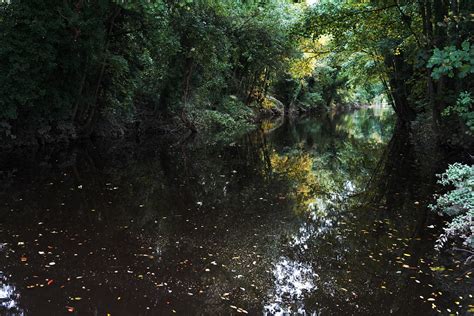 River Ure near Boroughbridge. | Better viewed full size. | Flickr