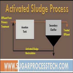 Activated Sludge Process for Wastewater Treatment | Anaerobic Digestion