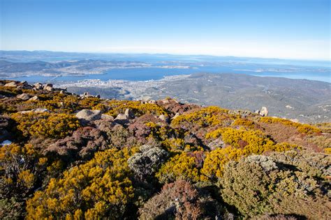 Summit, Mt Wellington, Hobart, Tasmania, Australia