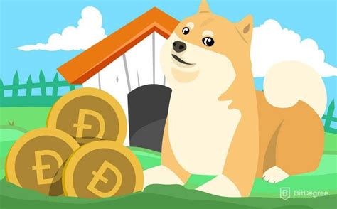 Dogecoin Mining: Learning All About How to Mine Dogecoin