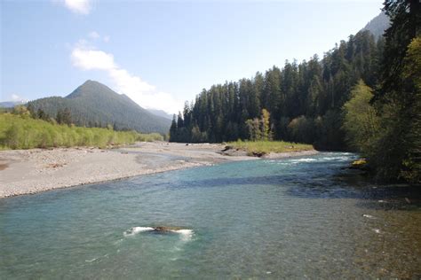 Quinault River fishing access | Fishing Reports | Maps