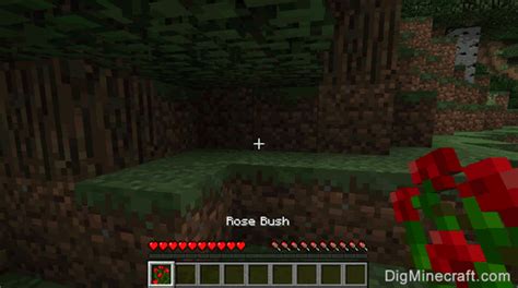 How to make a Rose Bush in Minecraft