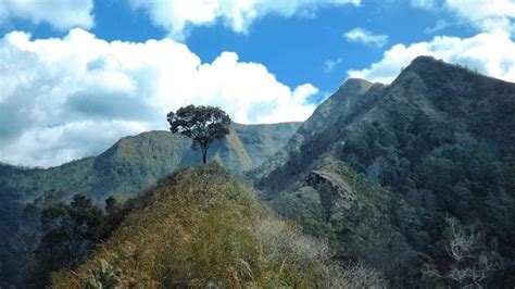 GUNUNG-GUNUNG DI BANDUNG RAYA (7): Gunung Sangar Arjasari, Si Mungil nan Cantik di Kaki ...