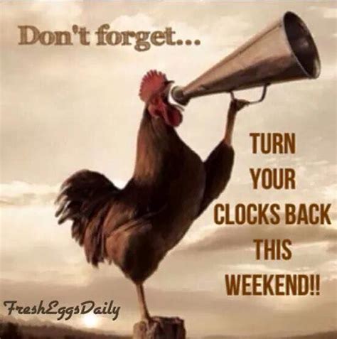 Turn Your Clocks Back This Weekend!! | Fall back time change, Clocks ...