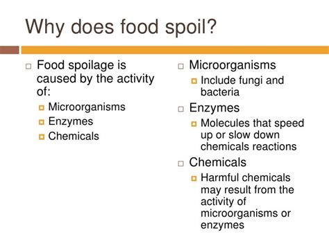 Why Do Foods Spoil