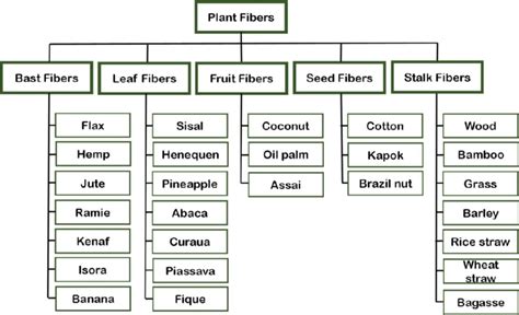 Classification of plant fibers. | Download Scientific Diagram