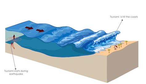 Inilah Tanda-tanda dan Proses Terjadinya Tsunami - seruni.id