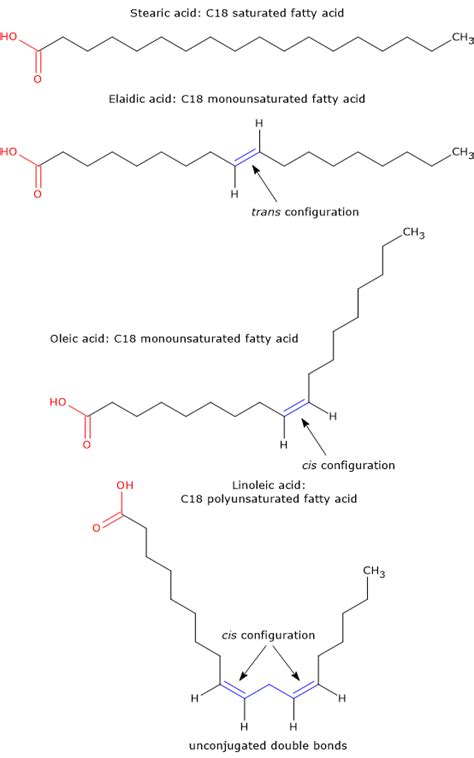 Fatty acids - Tuscany Diet