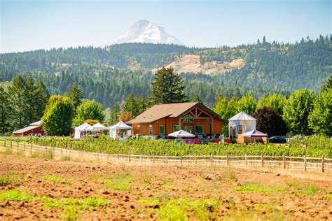 18 CHARMING Hood River Wineries Guaranteed to Impress