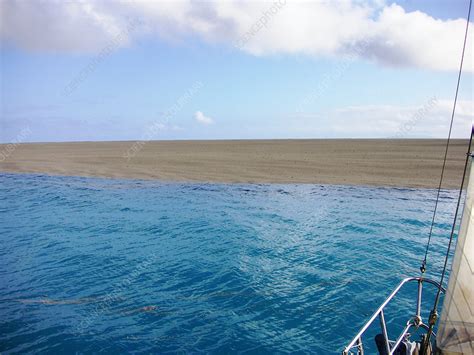 Pumice raft, Tonga, 2006 - Stock Image - E417/0290 - Science Photo Library