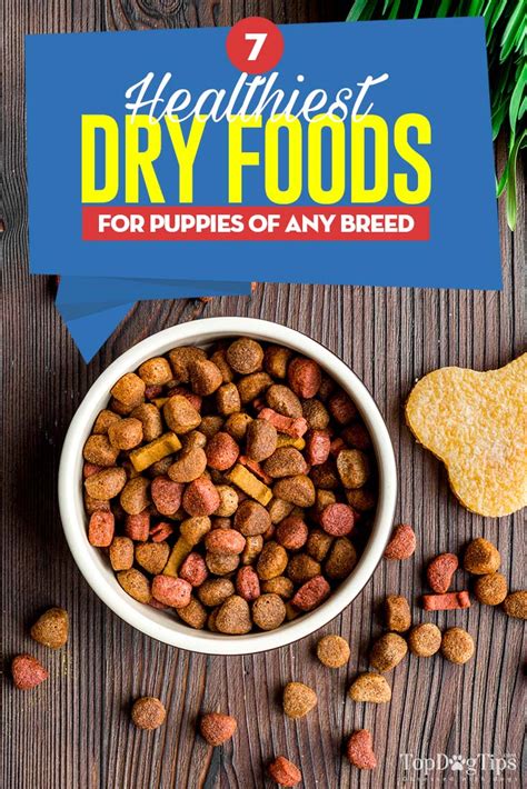 Top 7 Best Dry Food for Puppies Brands 2017 (and how to feed puppies)