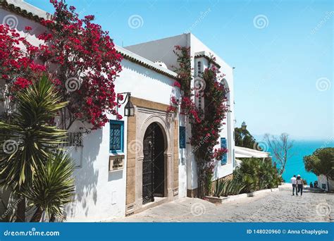 Streets of Sidi Bou Said with Traditional Architecture, Tunisia Editorial Image - Image of plant ...