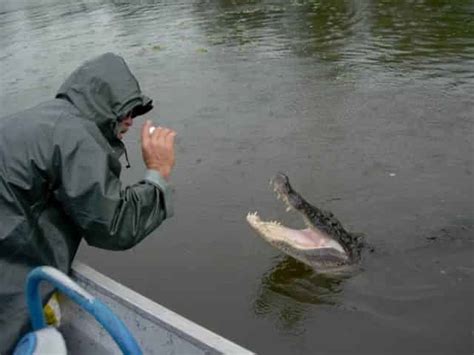 Louisiana Airboat Tours: What to Expect w/ Photos & More