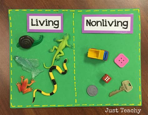 Living And Nonliving Things For Kids Living And Nonliving Kinder Images