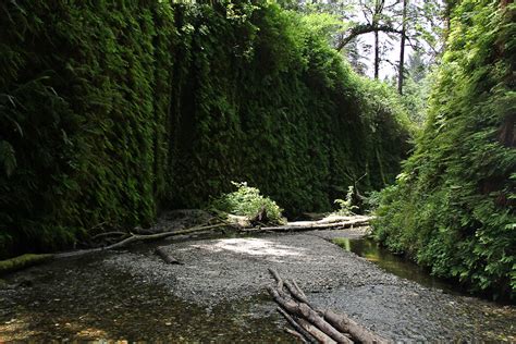 Fern Canyon in Prairie Creek Redwoods State Park, Californ… | Flickr