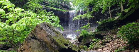 Favorite Hikes on the Finger Lakes Trail – Go Finger Lakes