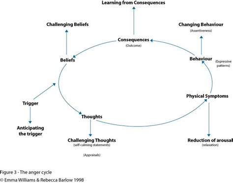 The anger cycle | Anger management strategies, Anger management, Anger