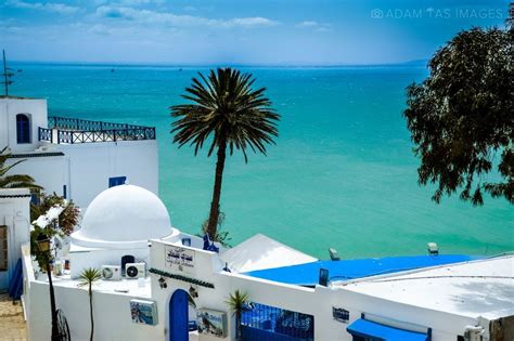 Sidi Bou Said. Charming blue and white. | Travel images, Beach scenery ...