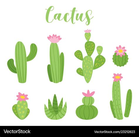 Cute cactus Royalty Free Vector Image - VectorStock