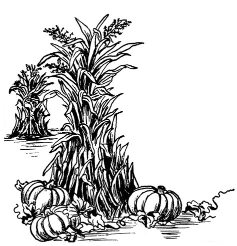 Free Fall Harvest Cliparts, Download Free Fall Harvest Cliparts png images, Free ClipArts on ...