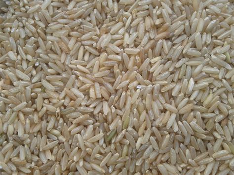 Health Benefits of Brown Rice | Innovative farming solutions