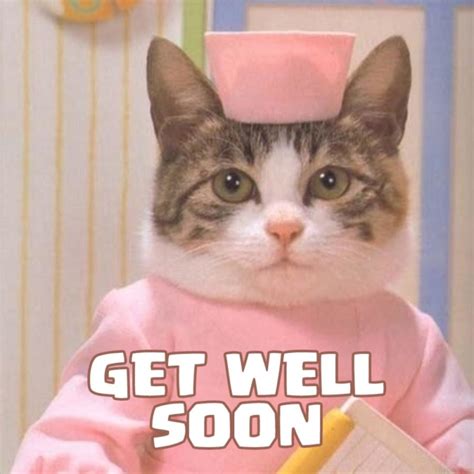 Pics to Say Get Well Soon! 50 Funny Cards for Free