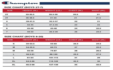 Updated Champion Hoodie Size Chart, Most Popullar!