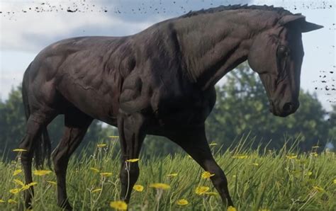 Black Chestnut Thoroughbred | Red Dead Wiki | FANDOM powered by Wikia