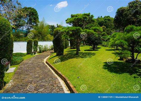 Japanese Japan Garden with White Wall Style and Green Grass and Tree ...