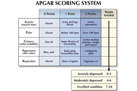 Family Apgar Score