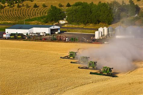 Palouse 2008 - harvest - rdaltonphotos