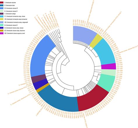 Frontiers | Cluster Differences in Antibiotic Resistance, Biofilm ...