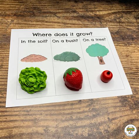 Preschool Growing Fruits and Vegetables Lesson Planning Ideas - Pre-K ...