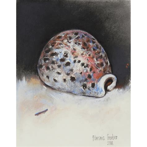 Cowry Shell - Robertson Art Gallery