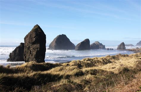 Are Dogs Allowed On Oregon Coast Beaches