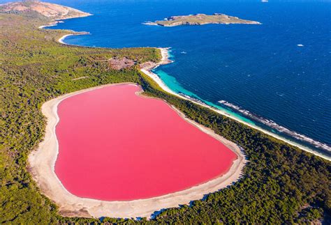 7 Pink Lakes in Australia that everyone must visit once | KAYAK