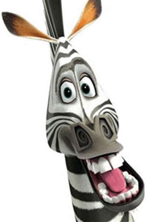 Madagascar Zebra Face