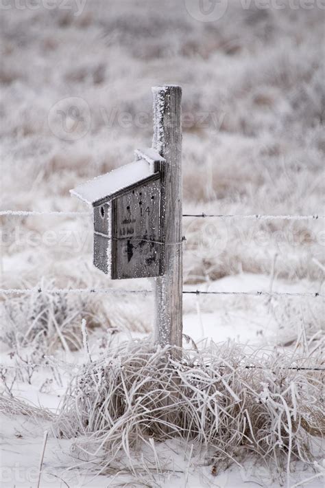 Cypress Hills in Winter 5902674 Stock Photo at Vecteezy