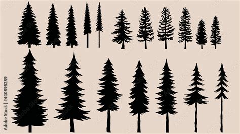 Pine tree collection, different tree vectors use for logo, landscape ...