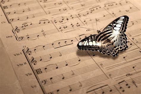 Butterfly and music stock image. Image of book, color - 4451023