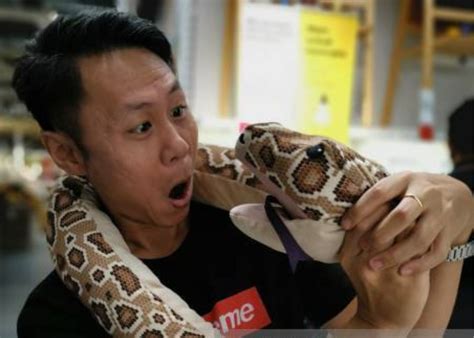 Five hilarious snake pranks [watch]